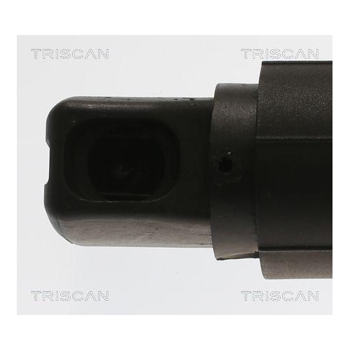 Gasfeder, Koffer-/Laderaum TRISCAN 8710 11313 f&uuml;r BMW, hinten links
