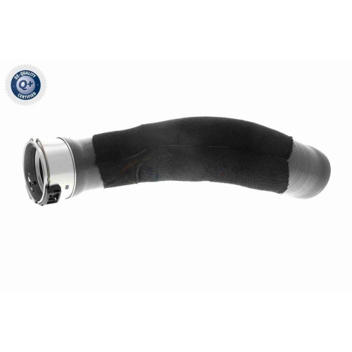 Ladeluftschlauch VAICO V46-0832 Q+, Erstausrüsterqualität für RENAULT