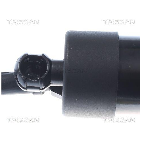 Gasfeder, Koffer-/Laderaum TRISCAN 8710 20303 f&uuml;r PORSCHE