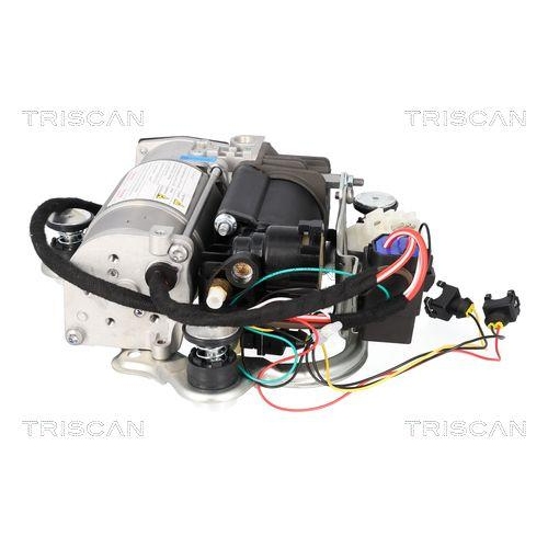 Kompressor, Druckluftanlage TRISCAN 8725 11106 für BMW