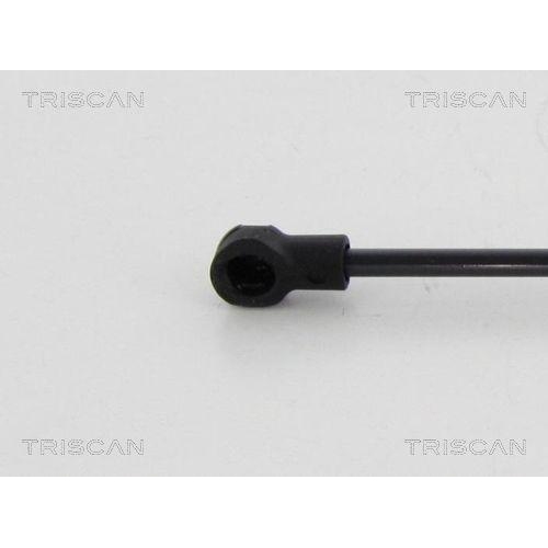 Gasfeder, Verdeck TRISCAN 8710 38242 f&uuml;r CITRO&Euml;N