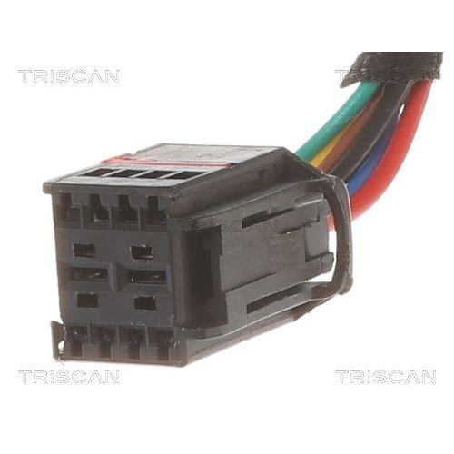 Gasfeder, Koffer-/Laderaum TRISCAN 8710 29304 für VW, hinten links