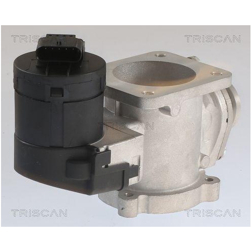 AGR-Ventil TRISCAN 8813 11020 f&uuml;r BMW