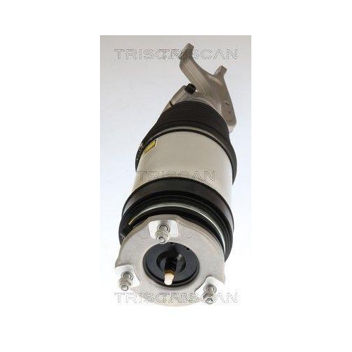 TRISCAN 8720 81103 Luftfederbein f&uuml;r TESLA, Vorderachse beidseitig