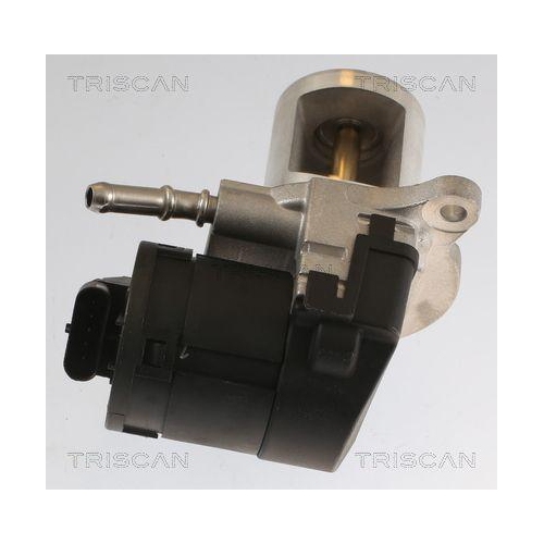 AGR-Ventil TRISCAN 8813 23040 f&uuml;r MERCEDES-BENZ