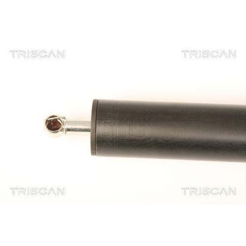 Gasfeder, Koffer-/Laderaum TRISCAN 8710 28244 für PEUGEOT