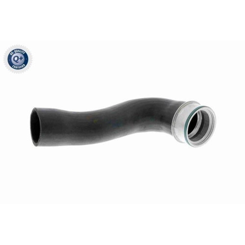 Ladeluftschlauch VAICO V10-3769 Q+, Erstausr&uuml;sterqualit&auml;t f&uuml;r AUDI SEAT SKODA VW