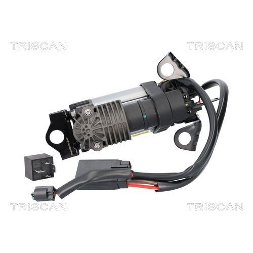 Kompressor, Druckluftanlage TRISCAN 8725 81103 für TESLA