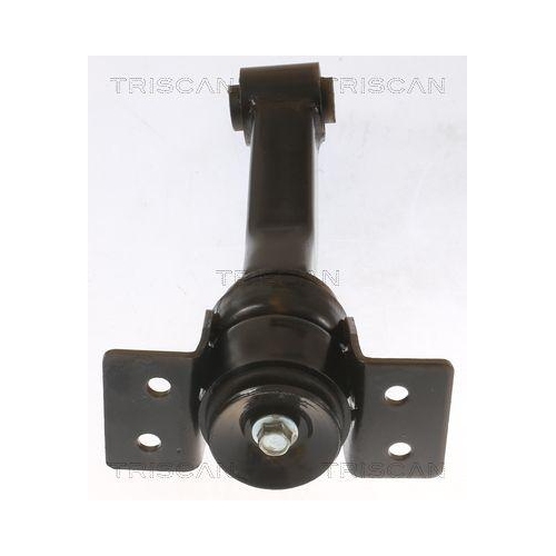 Lagerung, Motor TRISCAN 8505 16100 f&uuml;r FORD, hinten, unten