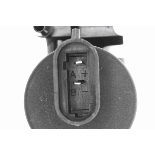Waschwasserpumpe, Scheibenreinigung VEMO V46-08-0010 Original VEMO Qualität für
