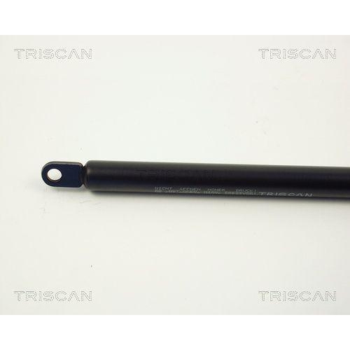 Gasfeder, Koffer-/Laderaum TRISCAN 8710 2902 f&uuml;r VW