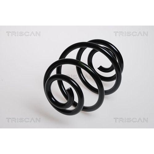Fahrwerksfeder TRISCAN 8750 24018 für CHEVROLET DAEWOO, Hinterachse