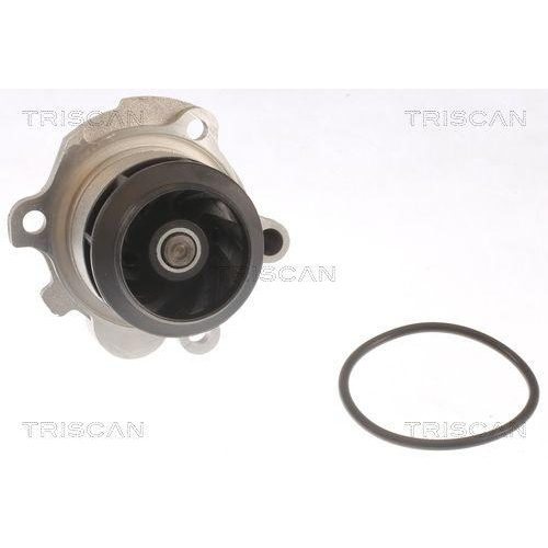 Wasserpumpe, Antriebsbatterie TRISCAN 8600 29063 f&uuml;r