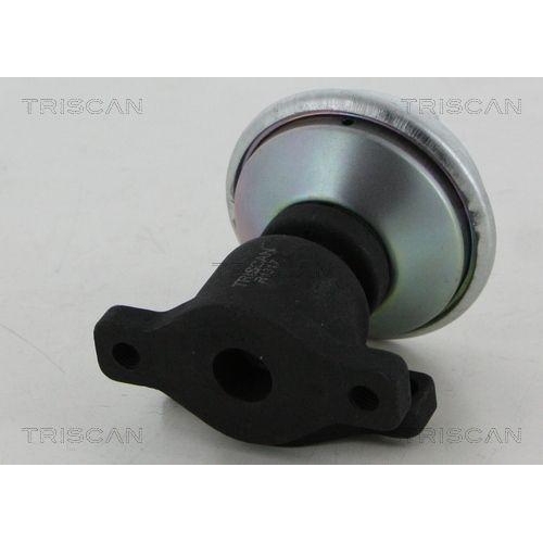 AGR-Ventil TRISCAN 8813 29053 f&uuml;r AUDI SEAT VW