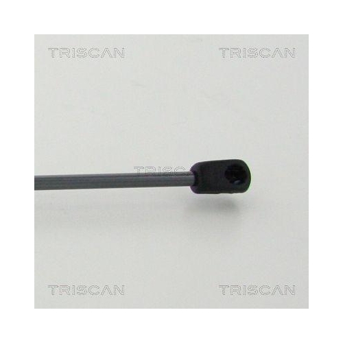 Gasfeder, Koffer-/Laderaum TRISCAN 8710 14255 f&uuml;r NISSAN, hinten links