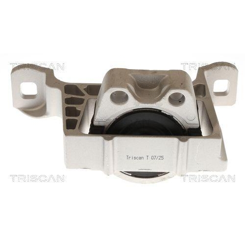 Lagerung, Motor TRISCAN 8505 10104 f&uuml;r FORD VOLVO, rechts