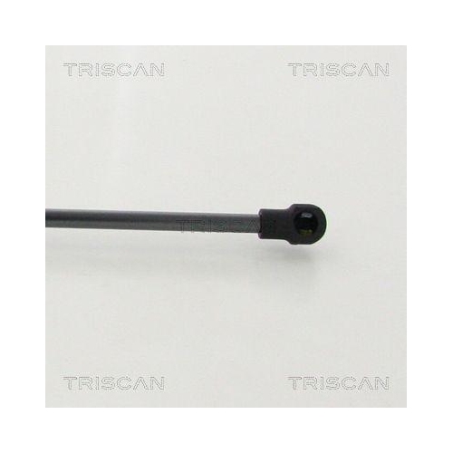 Gasfeder, Koffer-/Laderaum TRISCAN 8710 14256 für NISSAN, hinten links