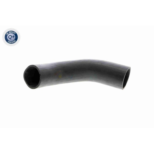 Ladeluftschlauch VAICO V10-3779 Q+, Erstausr&uuml;sterqualit&auml;t f&uuml;r AUDI SEAT SKODA VW