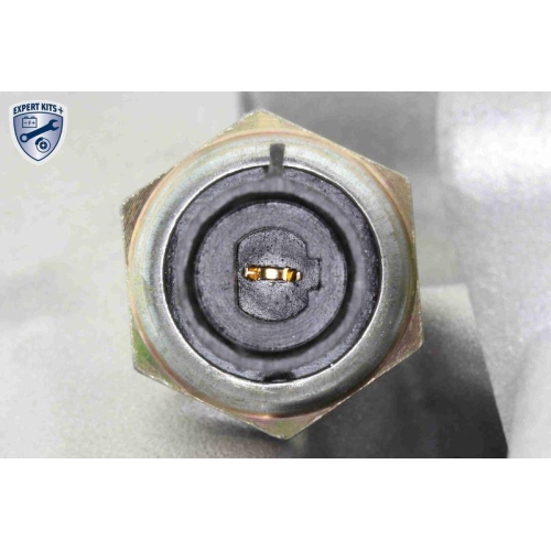 &Ouml;lk&uuml;hler, Motor&ouml;l VEMO V24-60-0019 EXPERT KITS + f&uuml;r FIAT