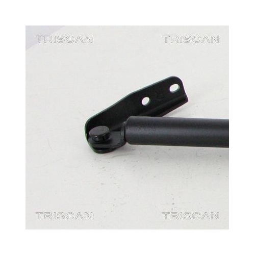Gasfeder, Koffer-/Laderaum TRISCAN 8710 14258 f&uuml;r NISSAN, hinten rechts