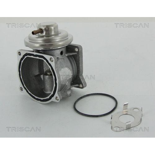 AGR-Ventil TRISCAN 8813 29301 f&uuml;r VW