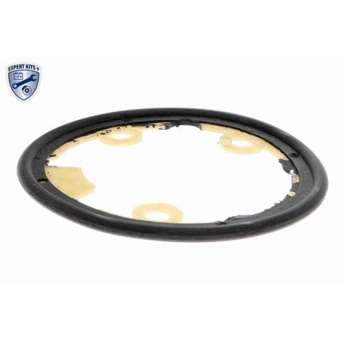 &Ouml;lk&uuml;hler, Motor&ouml;l VEMO V24-60-0021 EXPERT KITS + f&uuml;r FIAT