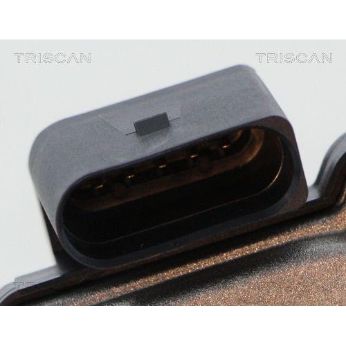 AGR-Ventil TRISCAN 8813 29316 f&uuml;r AUDI