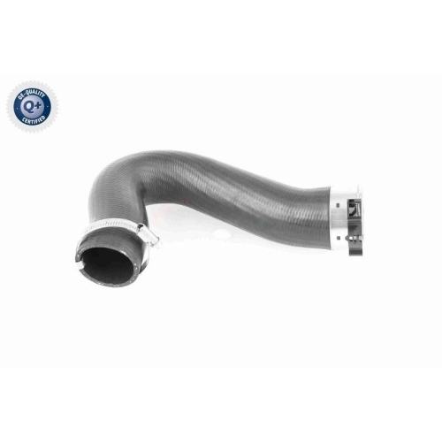 Ladeluftschlauch VAICO V10-3782 Q+, Erstausr&uuml;sterqualit&auml;t f&uuml;r AUDI SEAT SKODA VW