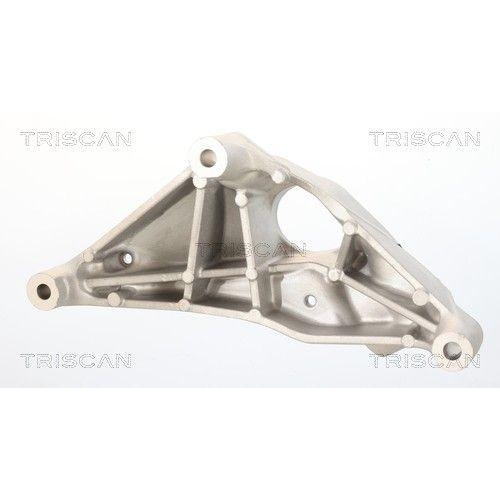 TRISCAN 8505 81103 Lagerung, Motor f&uuml;r TESLA, Hinterachse links