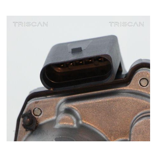 AGR-Ventil TRISCAN 8813 29317 f&uuml;r AUDI SKODA VW