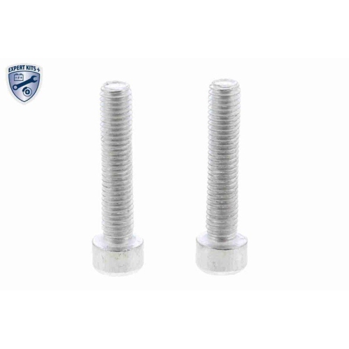 Hydraulikfilter, Lamellenkupplung (Allradantrieb) VAICO V48-0263 EXPERT KITS +