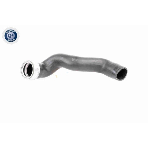 Ladeluftschlauch VAICO V10-3786 Q+, Erstausr&uuml;sterqualit&auml;t f&uuml;r AUDI SEAT SKODA VW