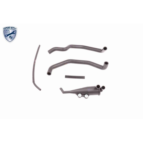 Reparatursatz, Kurbelgeh&auml;useentl&uuml;ftung VAICO V20-0004 EXPERT KITS + f&uuml;r BMW