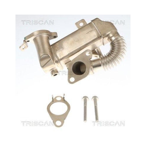 TRISCAN 8813 10120 K&uuml;hler, Abgasr&uuml;ckf&uuml;hrung f&uuml;r CITRO&Euml;N NISSAN PEUGEOT RENAULT