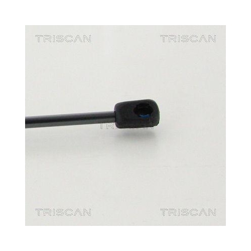 Gasfeder, Koffer-/Laderaum TRISCAN 8710 16271 f&uuml;r FORD, hinten links