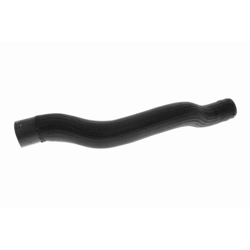 ACKOJA A32-1604 K&uuml;hlerschlauch Original ACKOJA Qualit&auml;t f&uuml;r MAZDA, oben