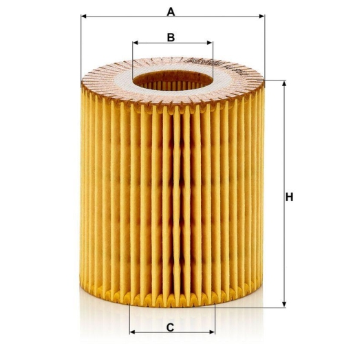 &Ouml;lfilter MANN-FILTER HU 815/2 x f&uuml;r BMW