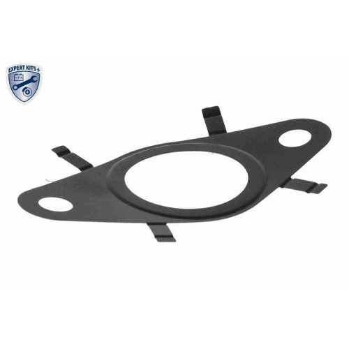Dichtung, AGR-Ventil VEMO V24-63-0038 EXPERT KITS + für FIAT FORD