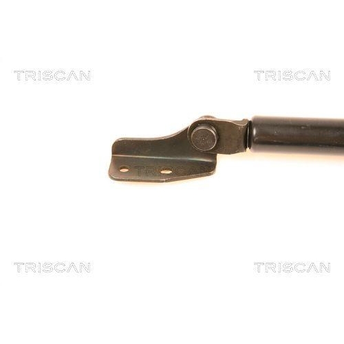 Gasfeder, Koffer-/Laderaum TRISCAN 8710 50232 f&uuml;r MAZDA, rechts