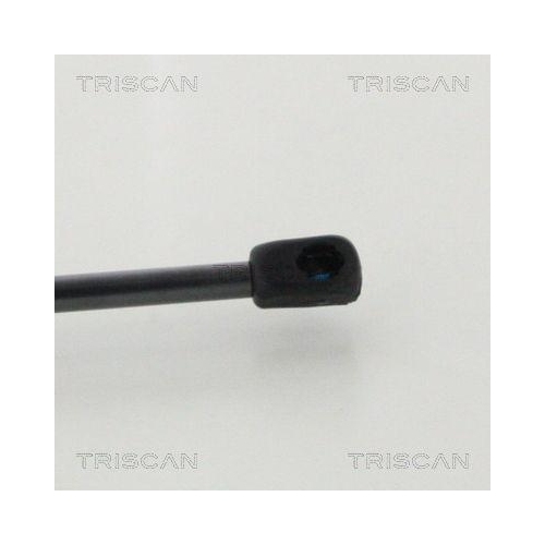 Gasfeder, Koffer-/Laderaum TRISCAN 8710 16276 f&uuml;r FORD, hinten links