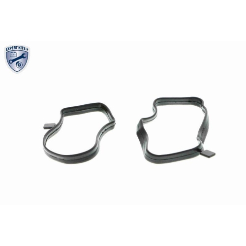 Ventil, Kurbelgehäuseentlüftung VAICO V20-0850 EXPERT KITS + für BMW