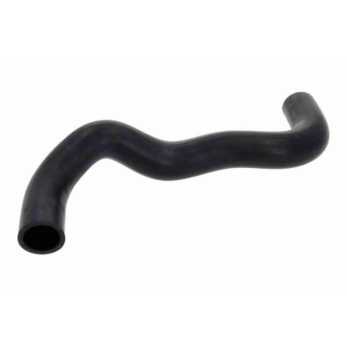 ACKOJA A32-1611 K&uuml;hlerschlauch Original ACKOJA Qualit&auml;t f&uuml;r MAZDA, unten