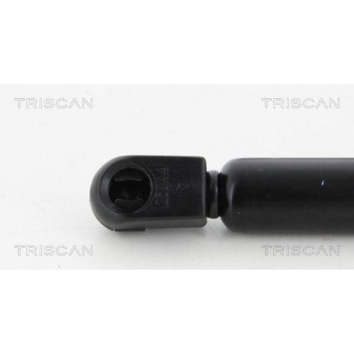 Gasfeder, Koffer-/Laderaum TRISCAN 8710 11238 für BMW, hinten links