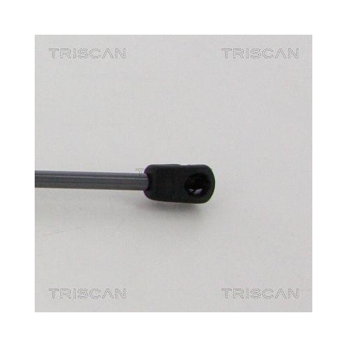 Gasfeder, Motorhaube TRISCAN 8710 17108 für JAGUAR, vorne links, vorne rechts