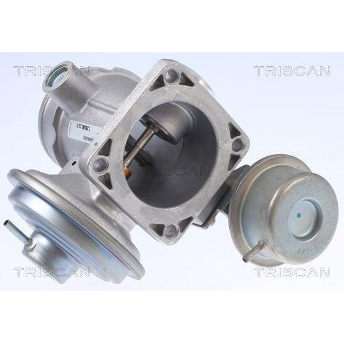 AGR-Ventil TRISCAN 8813 10034 f&uuml;r CHRYSLER