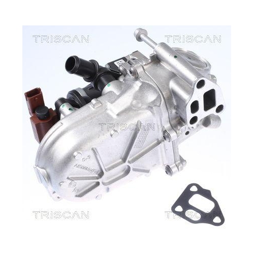 AGR-Ventil TRISCAN 8813 10108 f&uuml;r FIAT LANCIA OPEL VAUXHALL CHEVROLET