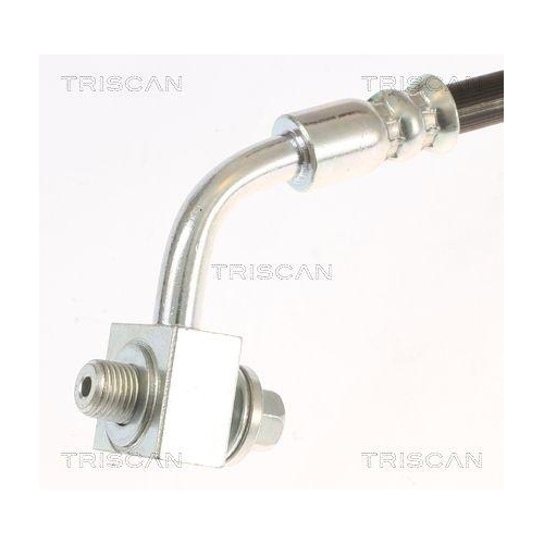 Bremsschlauch TRISCAN 8150 81203 f&uuml;r TESLA, Hinterachse rechts