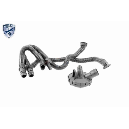 Reparatursatz, Kurbelgeh&auml;useentl&uuml;ftung VAICO V10-6492 EXPERT KITS + f&uuml;r SEAT VW
