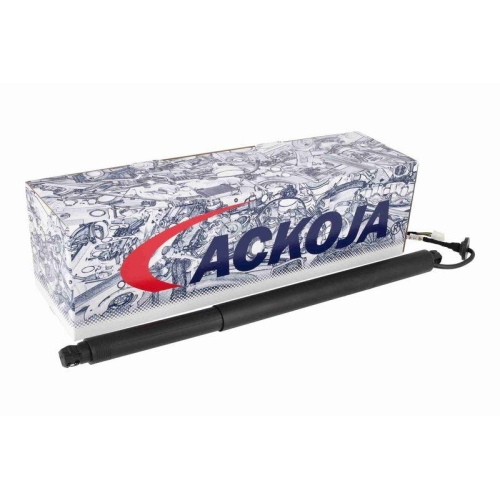 ACKOJA A63-55-0001 Elektromotor, Heckklappe Original ACKOJA Qualit&auml;t f&uuml;r SUBARU