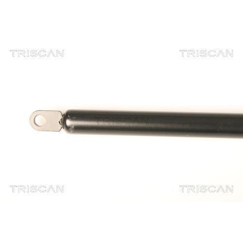 Gasfeder, Koffer-/Laderaum TRISCAN 8710 9009 f&uuml;r